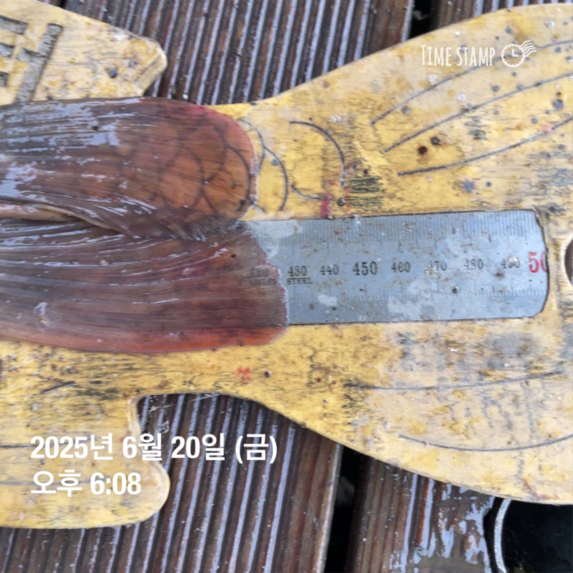 KakaoTalk_20250623_112528208_28.jpg
