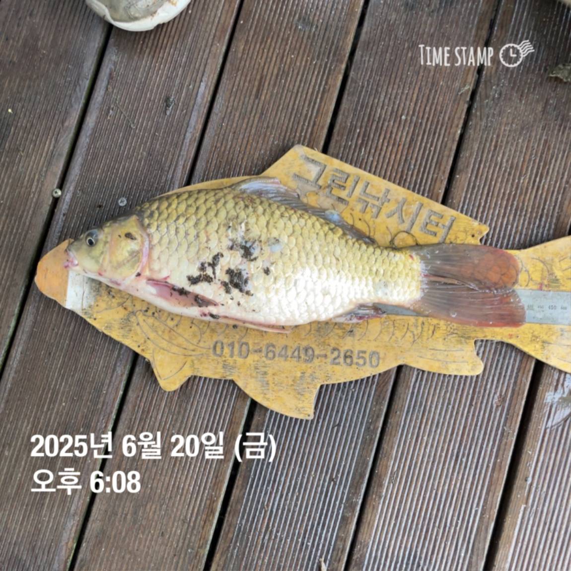 KakaoTalk_20250623_112528208_27.jpg