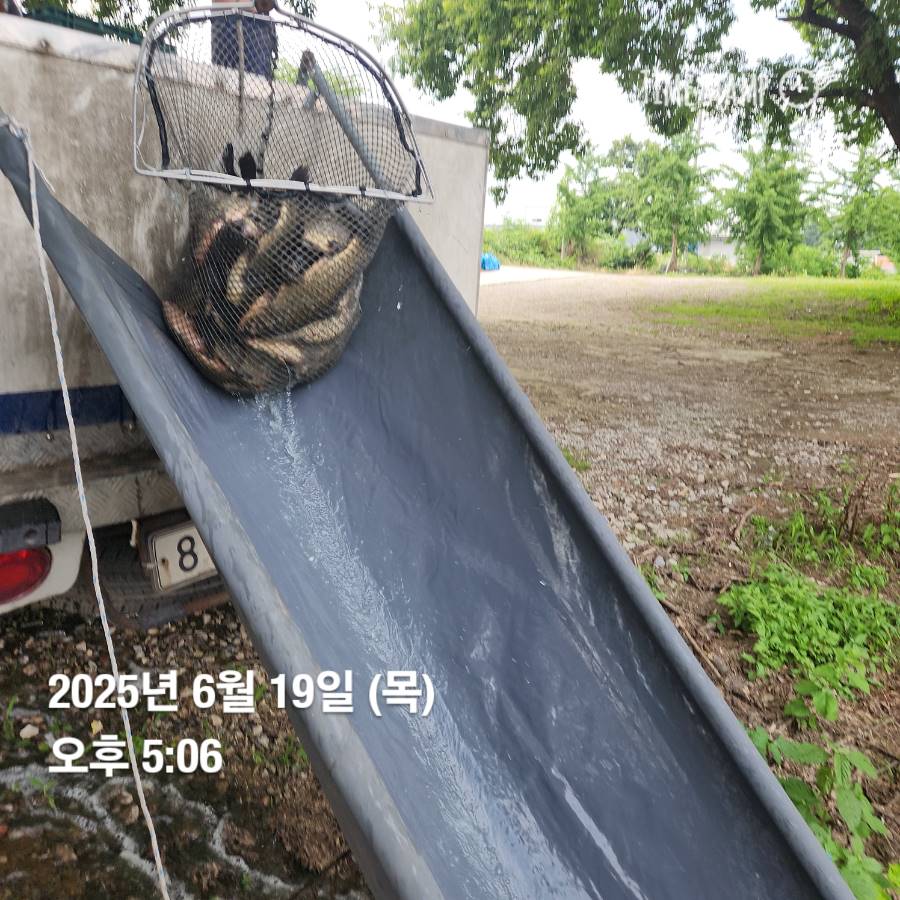 1750653630164.jpg