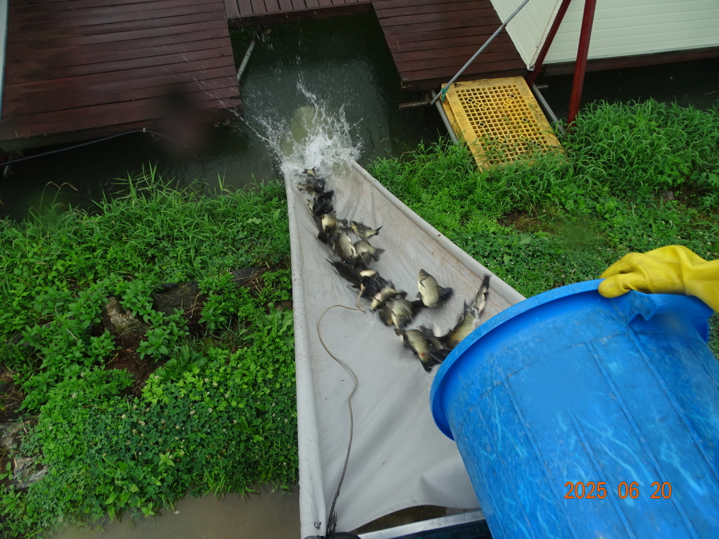 DSC03609.JPG