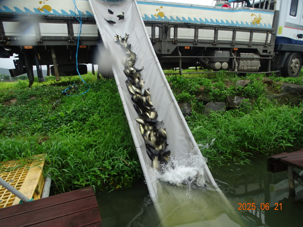 DSC03645.JPG