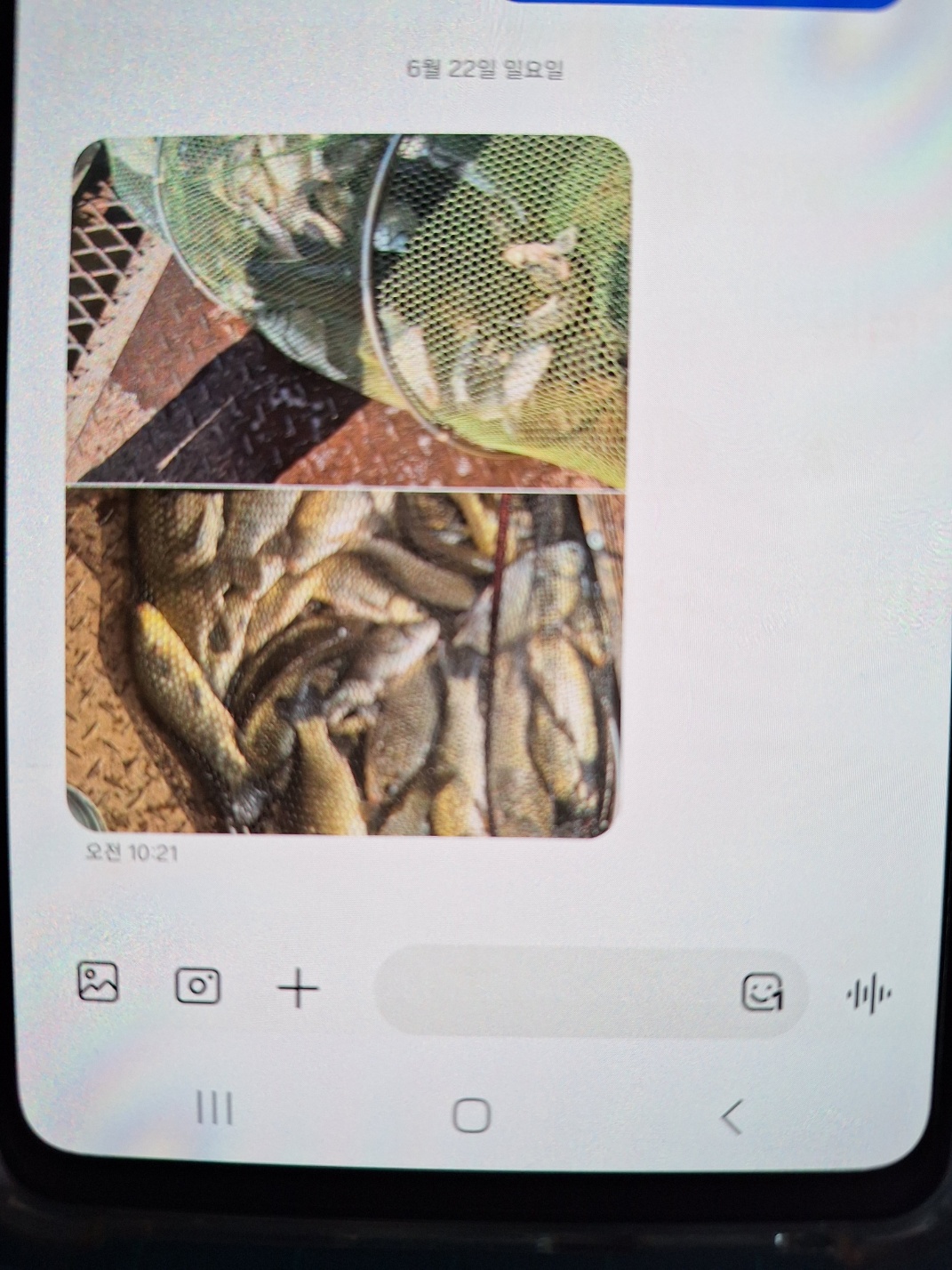 KakaoTalk_20250622_132646424_01.jpg