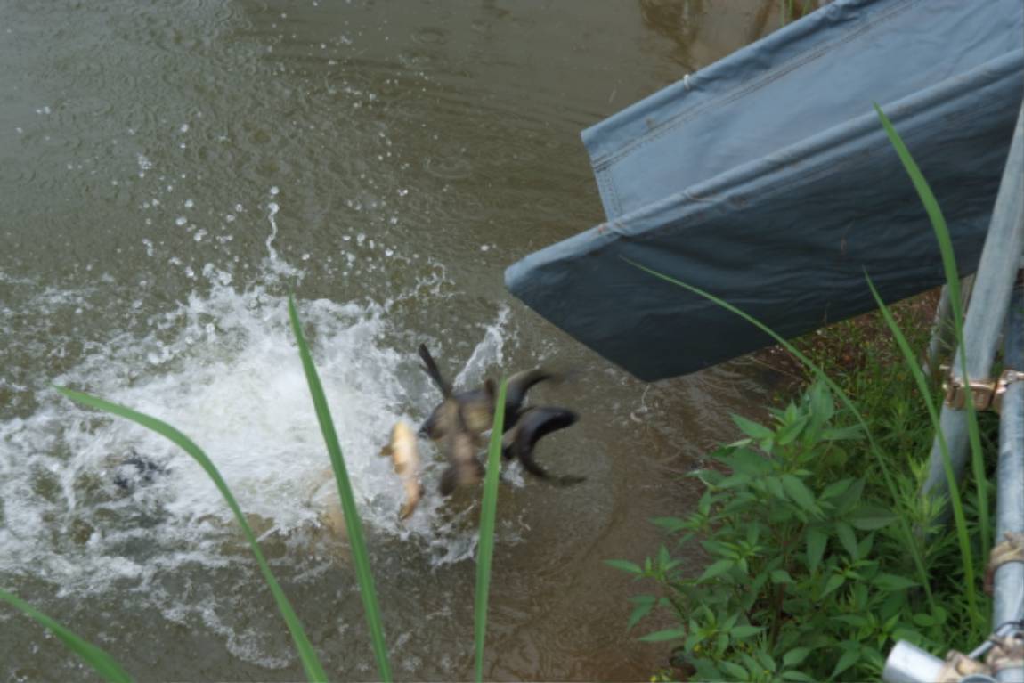 DSCF3753.JPG