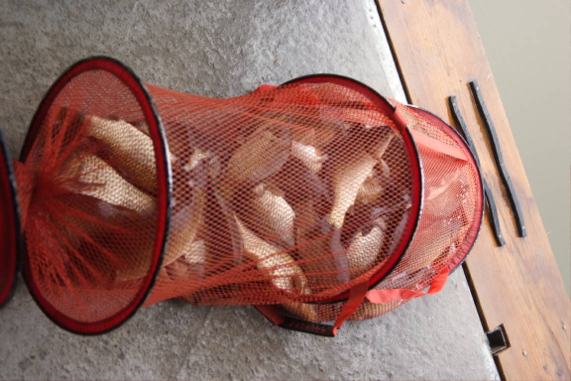 DSCF3768.JPG