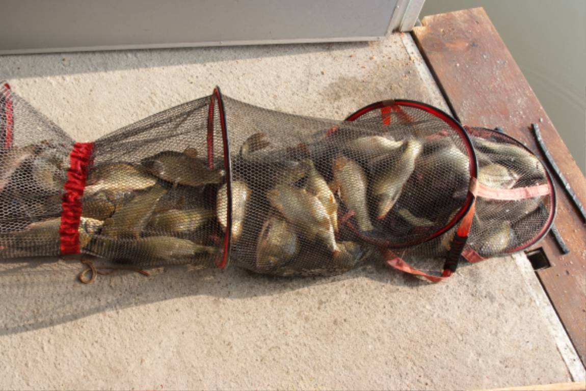 DSCF3782.JPG