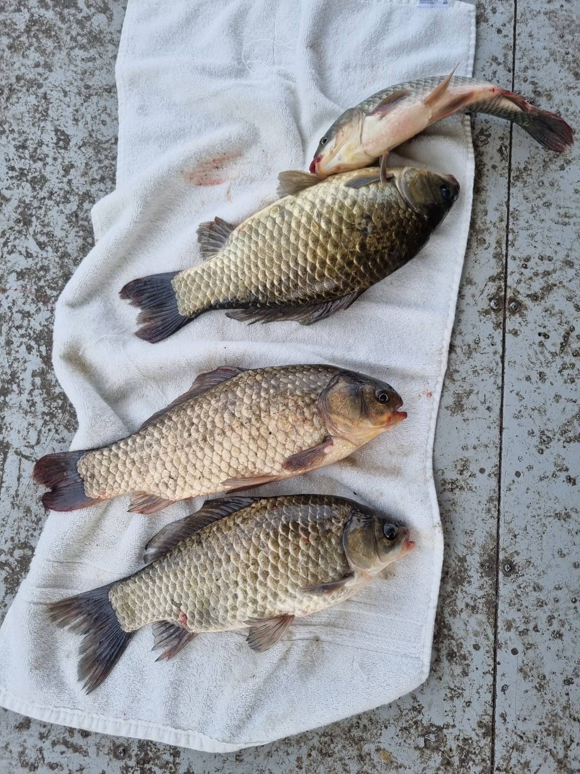 KakaoTalk_20250624_100109868_02.jpg