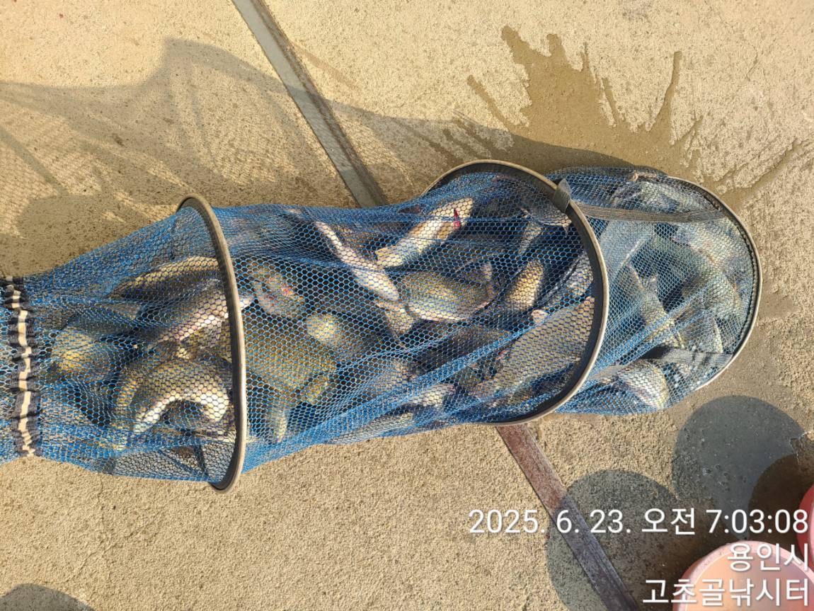 1750727204127.jpg