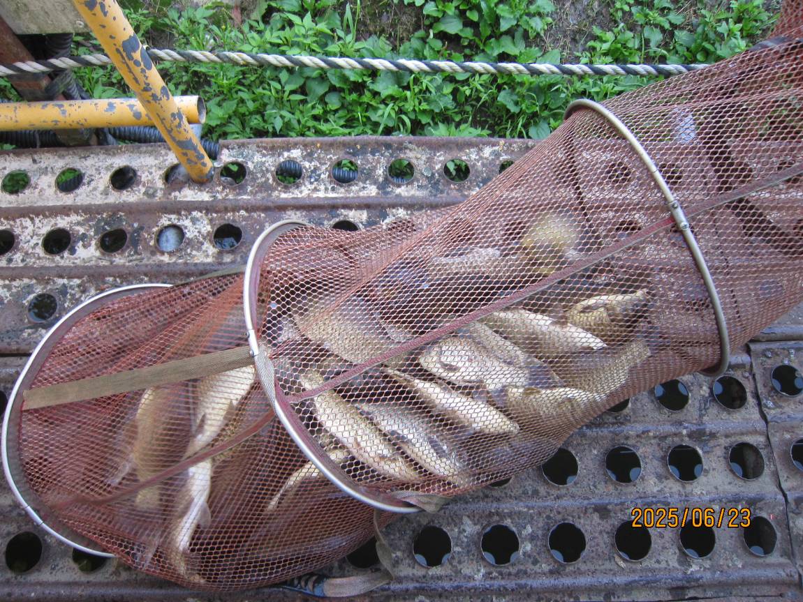 IMG_5628.JPG