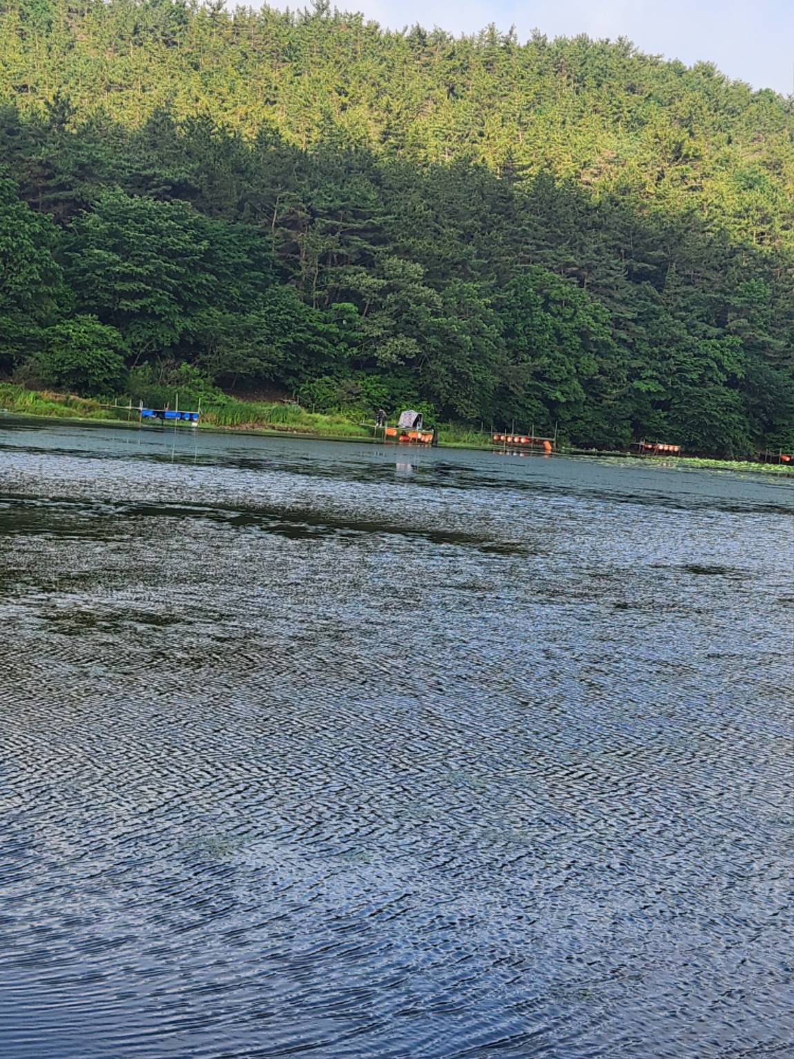 20250622_073819[1].jpg