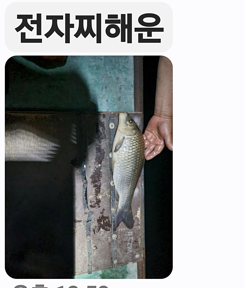 Screenshot_20250624_125910_Messages.jpg