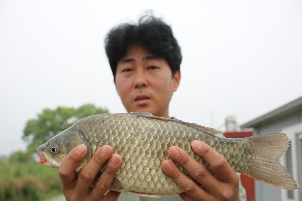 [ũ⺯ȯ]IMG_6208.JPG