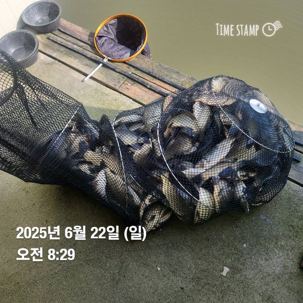 1750728923132.jpg