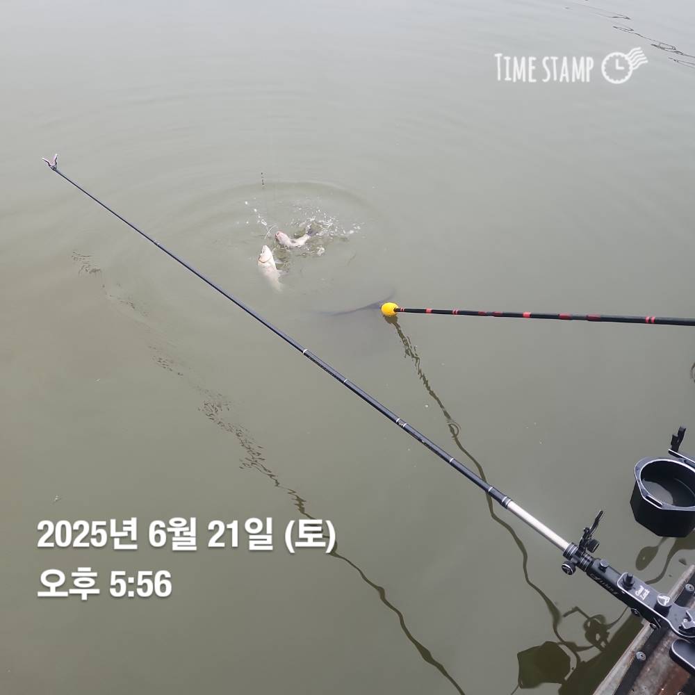 1750728926151.jpg