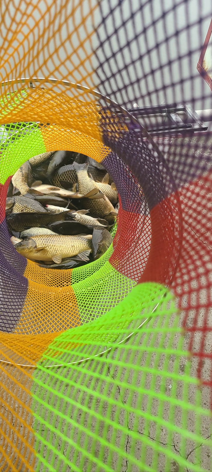 1750816650638.jpg