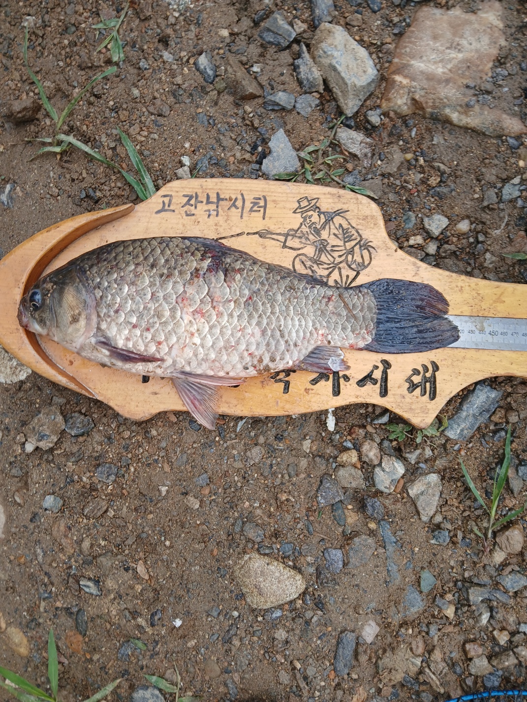 KakaoTalk_20250625_155636711_03.jpg