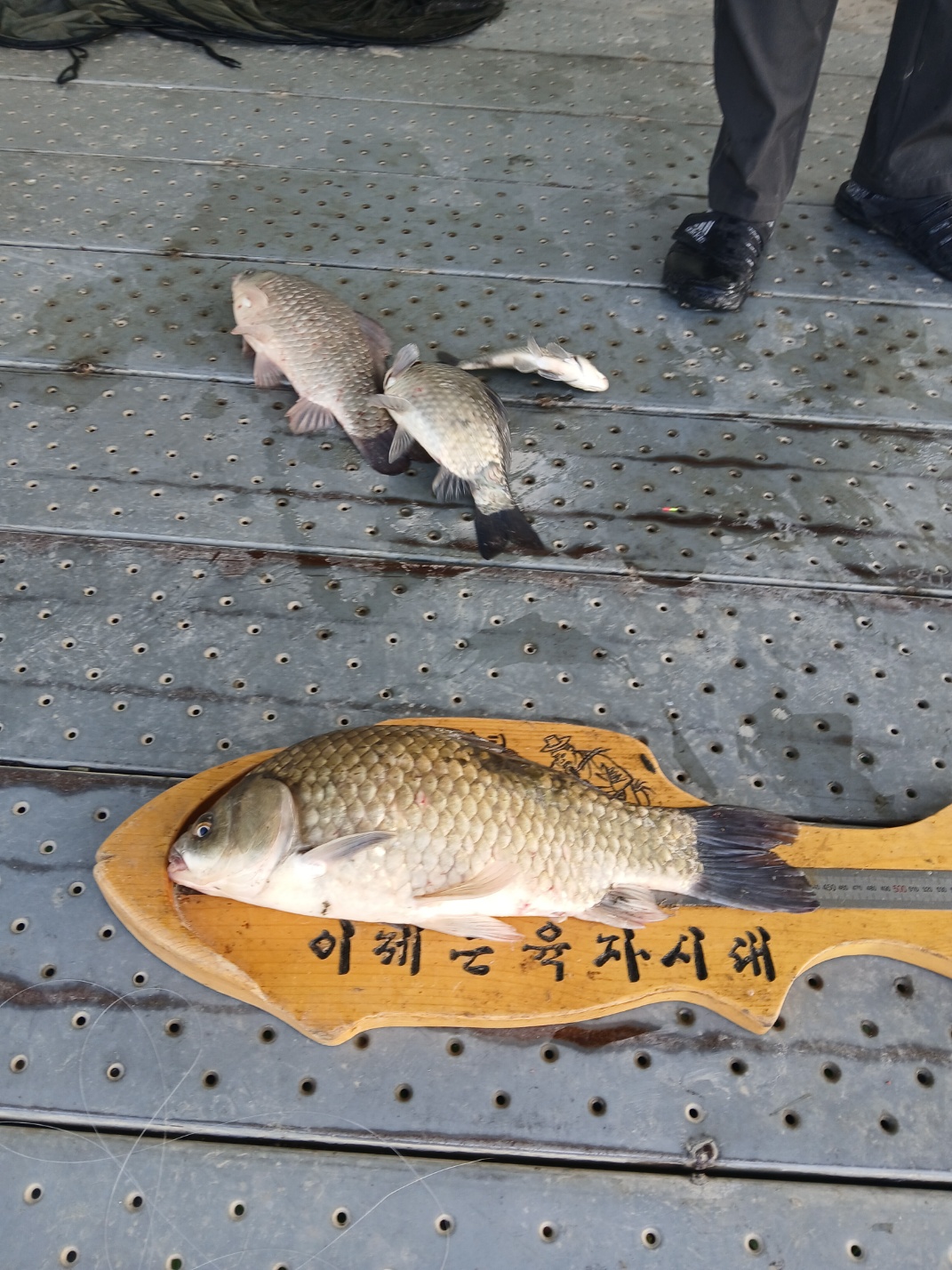 KakaoTalk_20250625_155812744_03.jpg