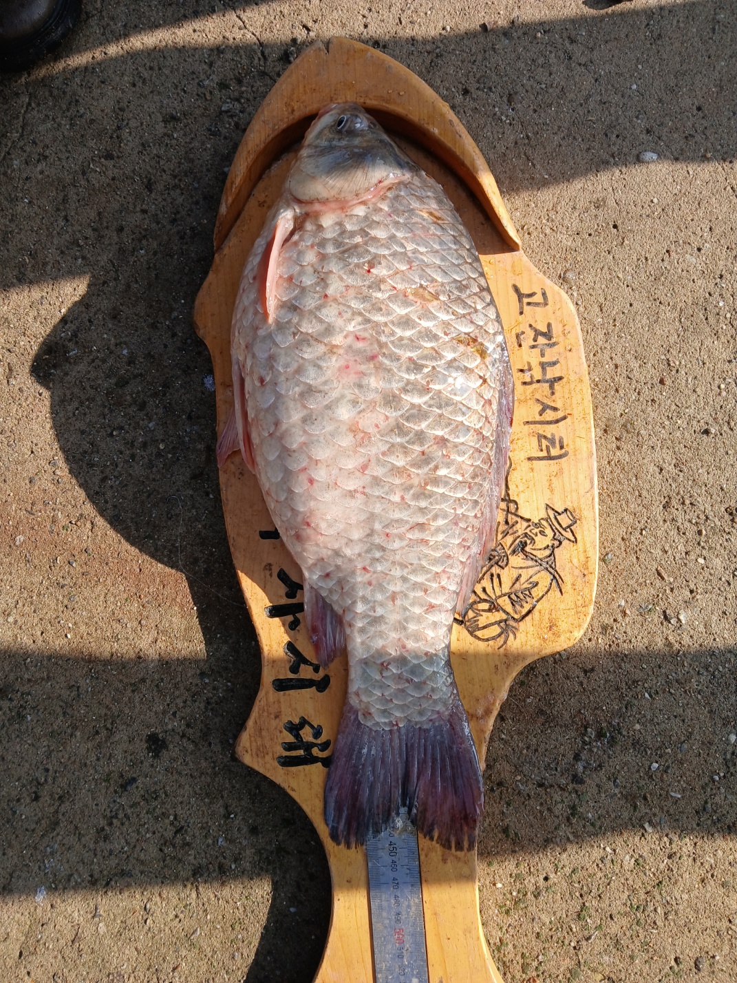 KakaoTalk_20250625_160250382_01.jpg