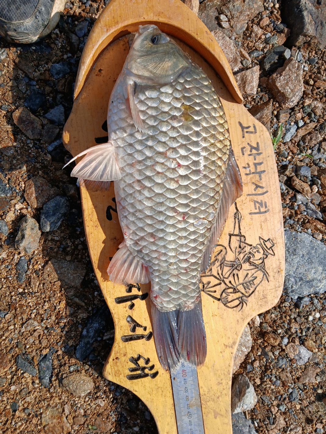 KakaoTalk_20250625_160858749_03.jpg