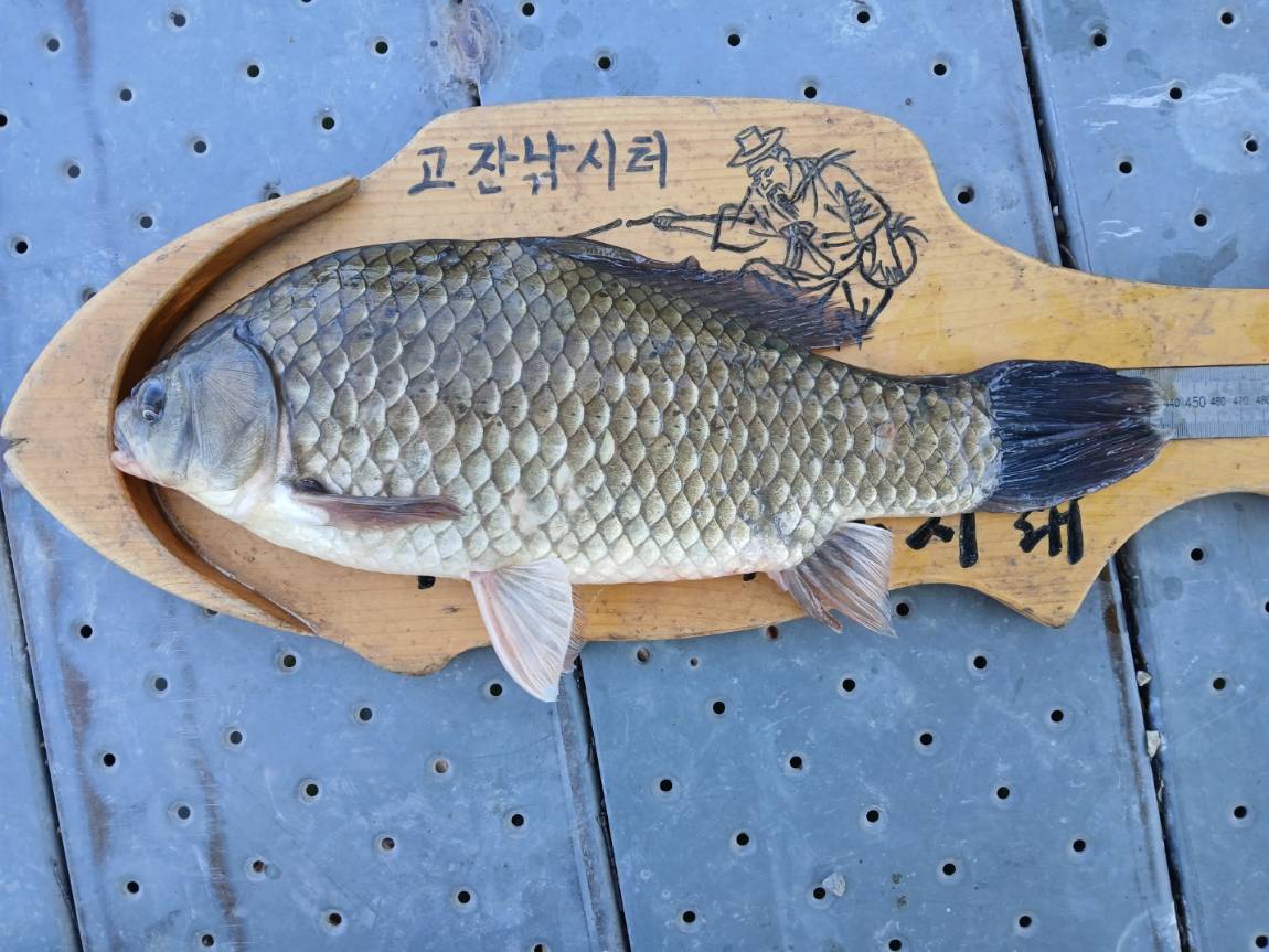 KakaoTalk_20250625_161632034_04.jpg
