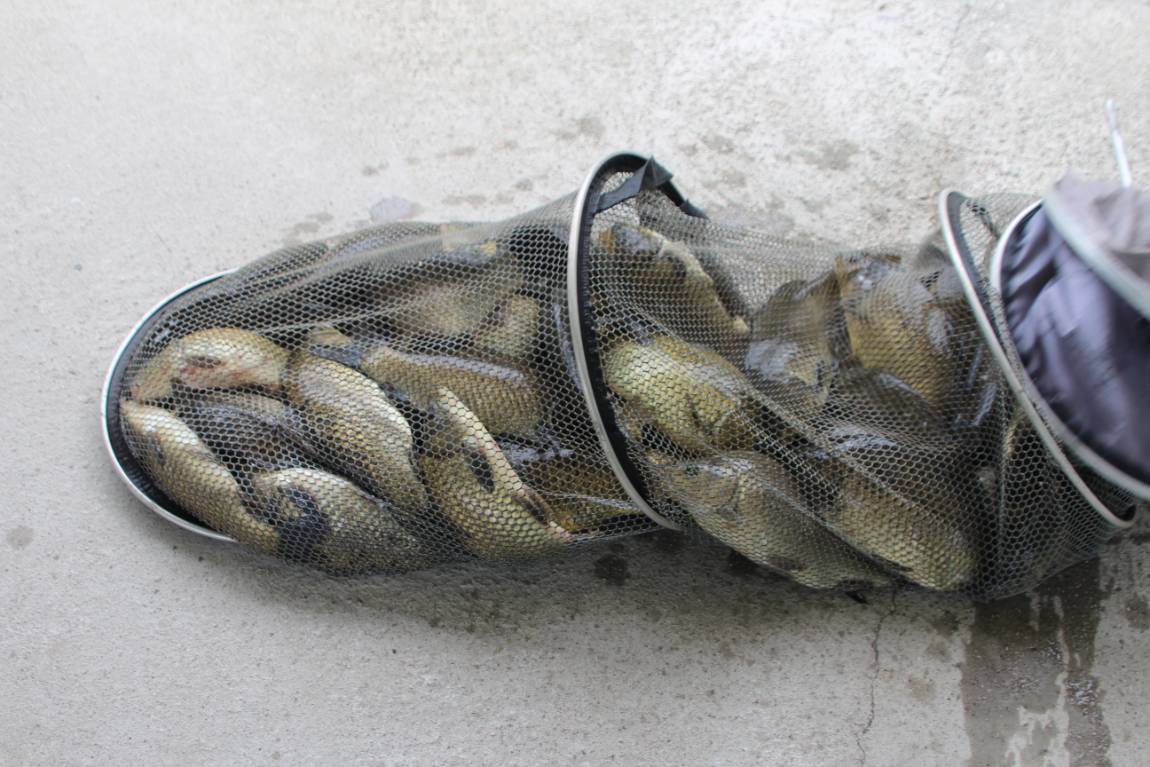 IMG_2004.JPG