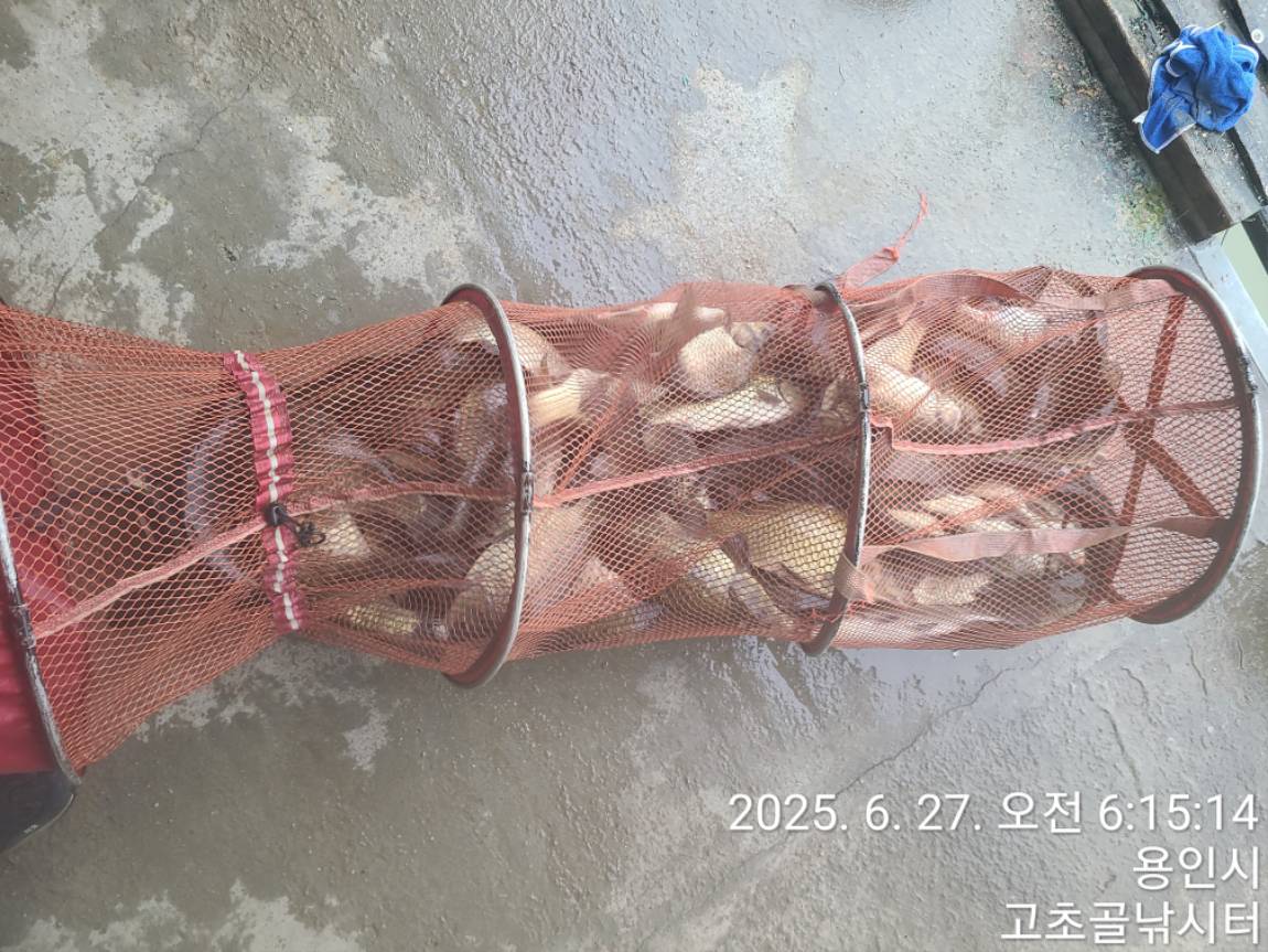1750976855427.jpg