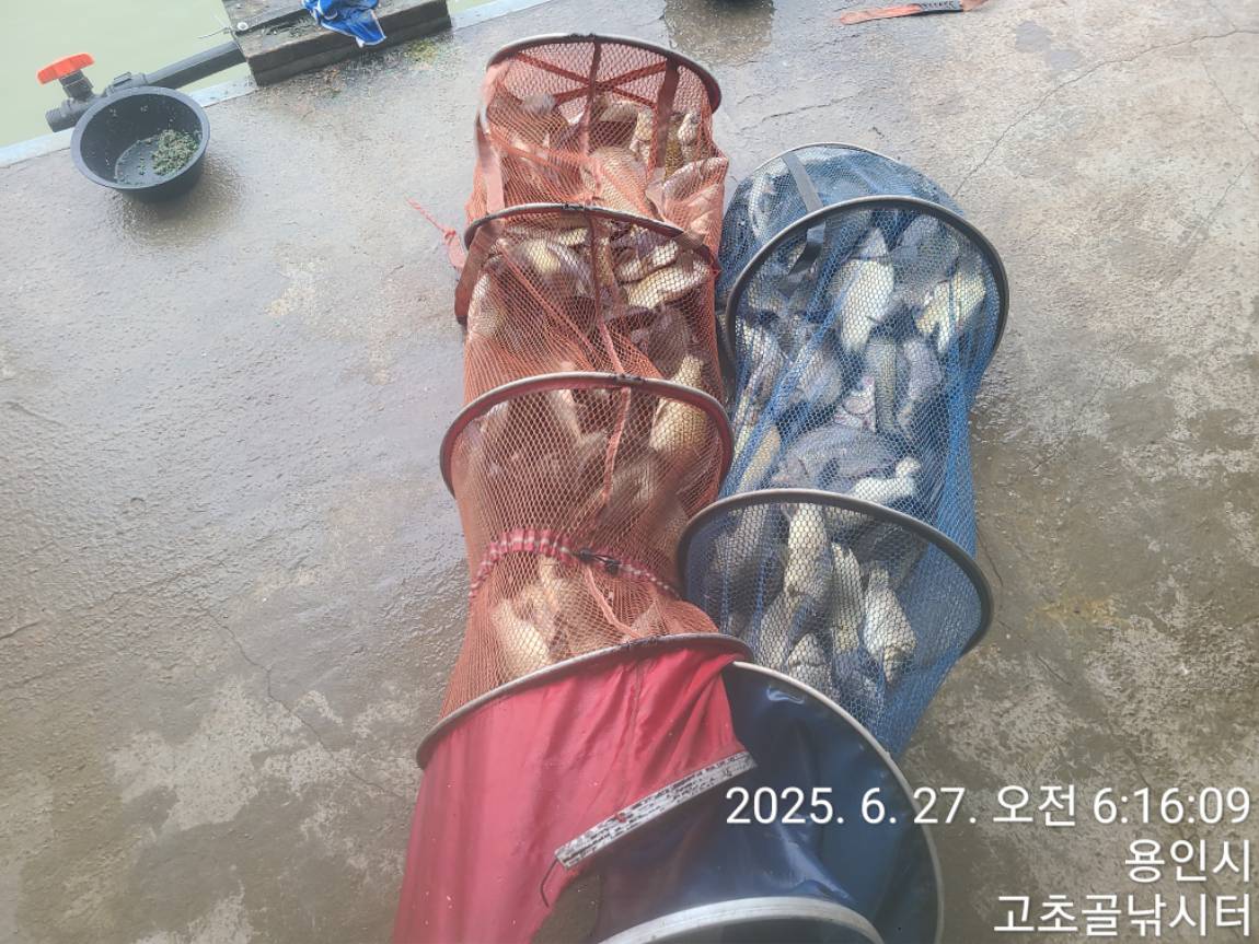 1750976855704.jpg