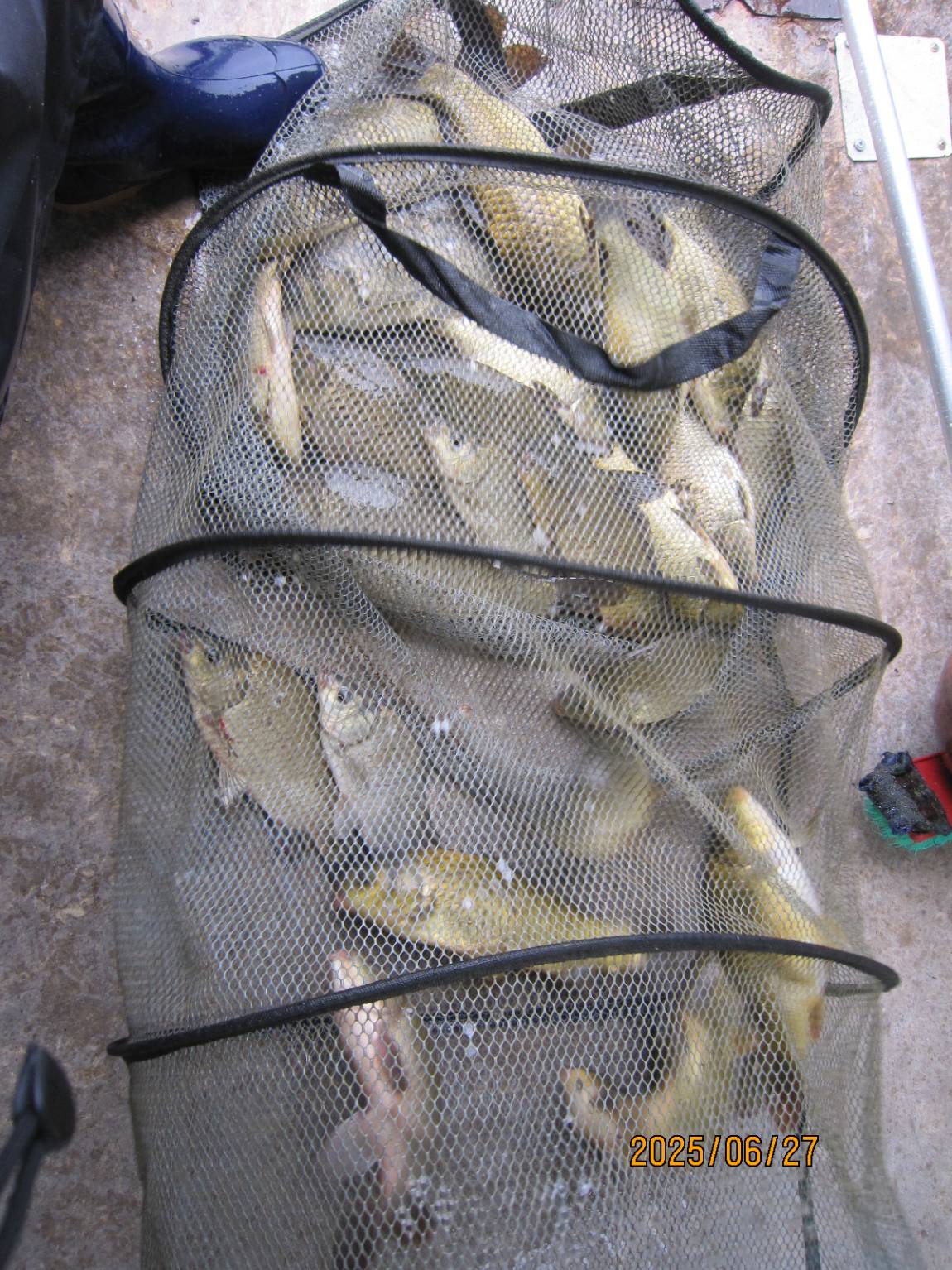 IMG_5738.JPG