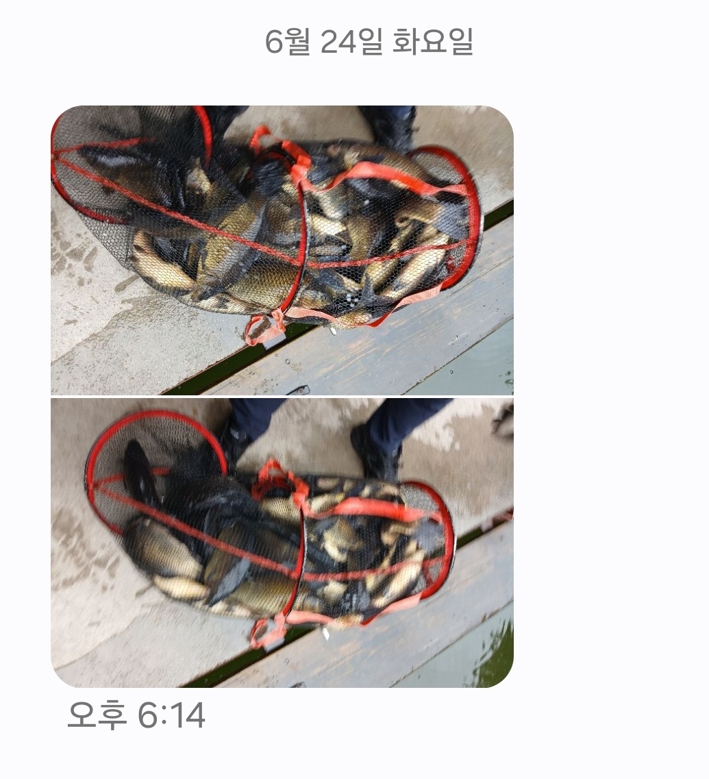 KakaoTalk_20250627_092848508.jpg