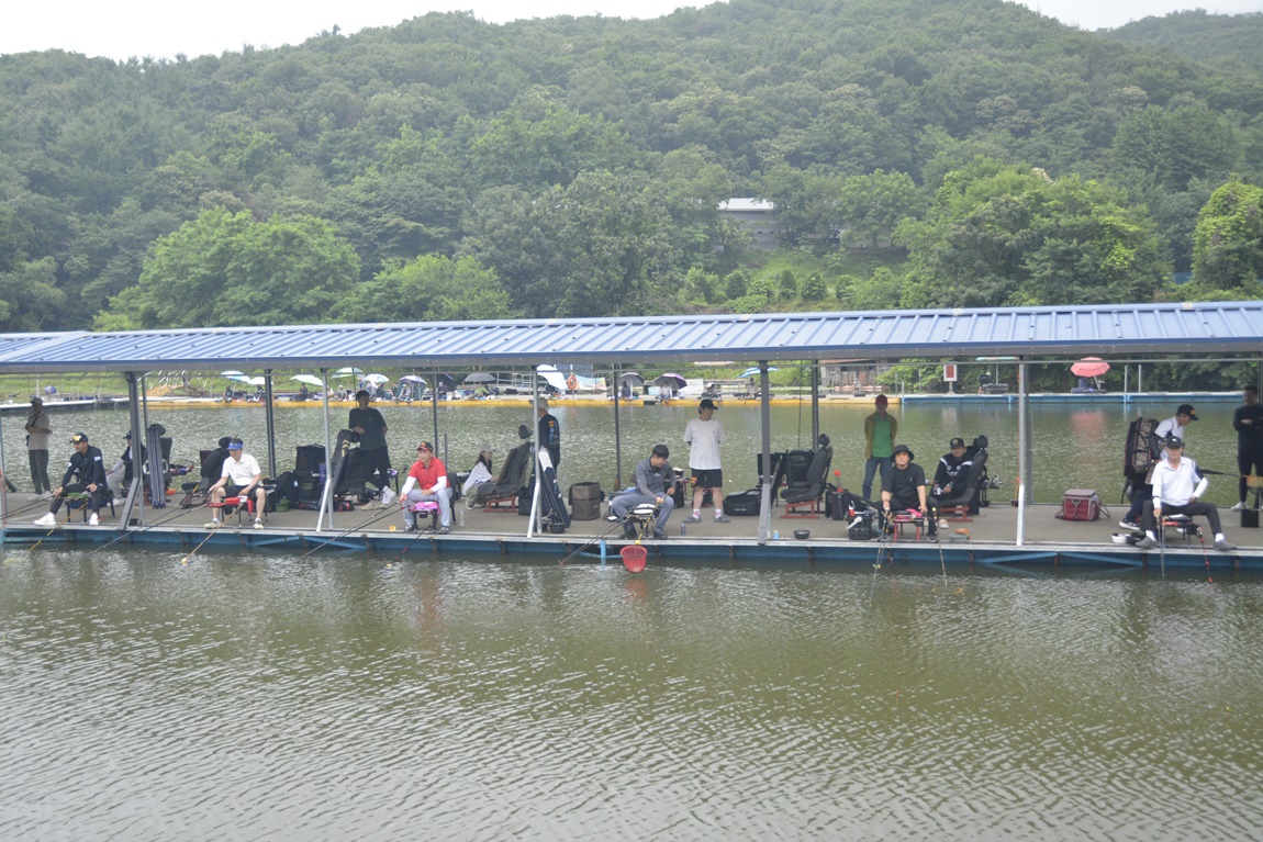 _7101919.JPG