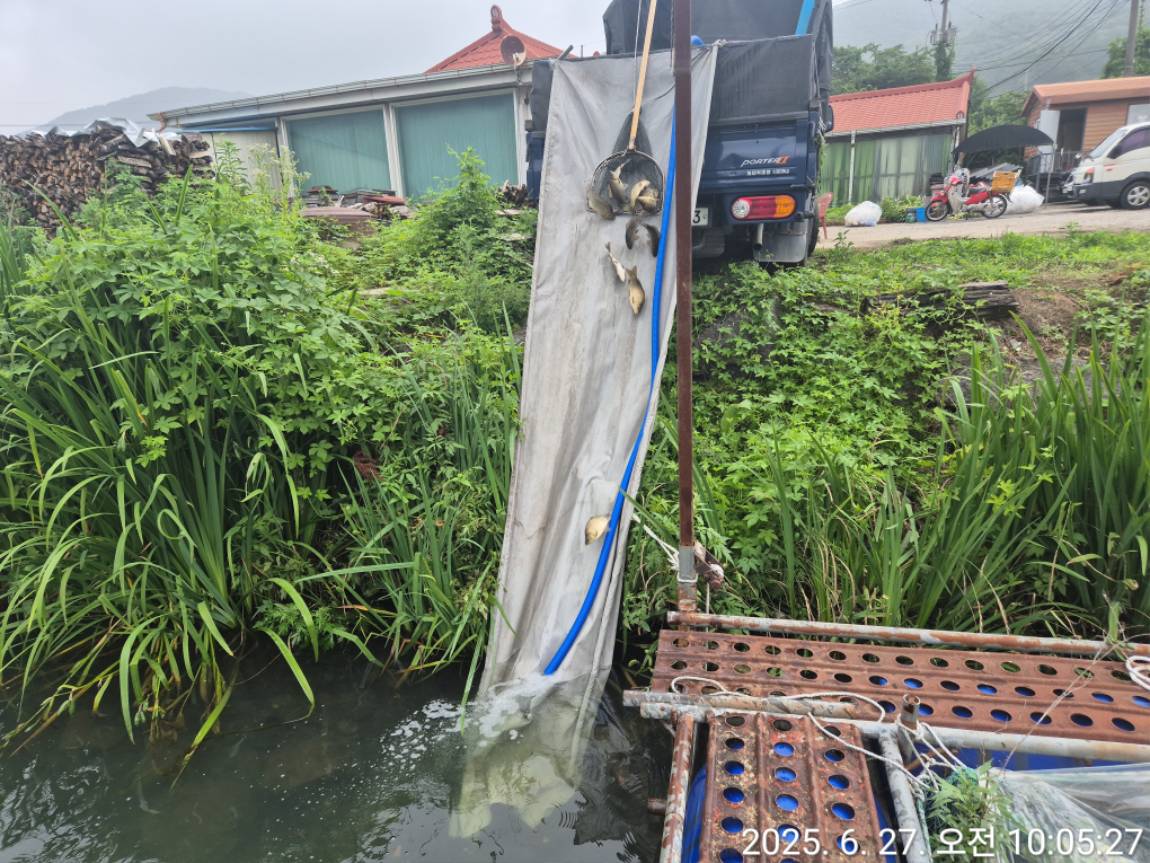 KakaoTalk_20250627_100653591.jpg