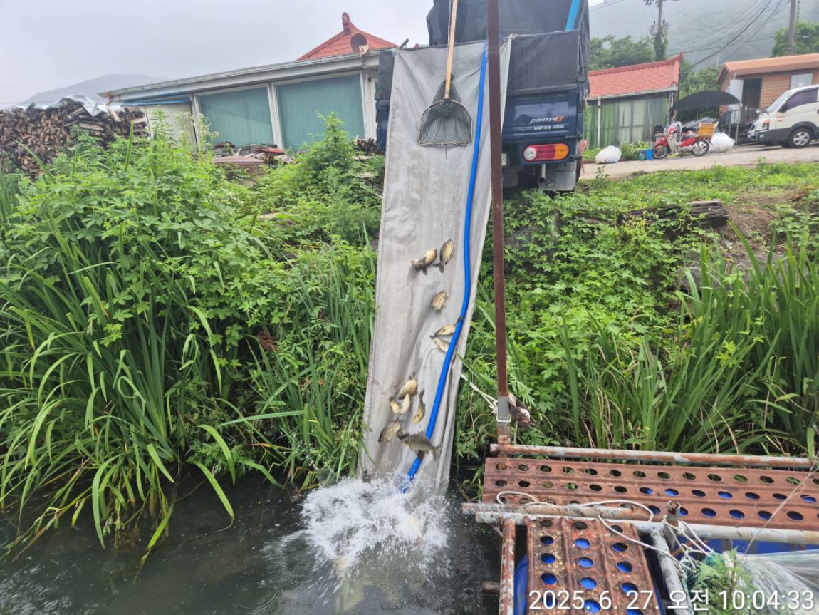 KakaoTalk_20250627_100653591_03.jpg