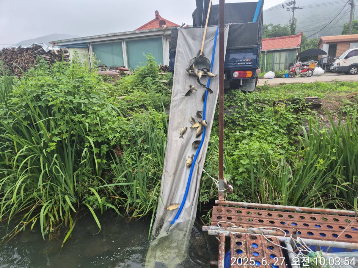KakaoTalk_20250627_100653591_07.jpg