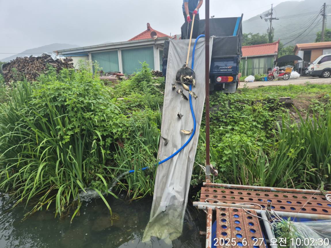 KakaoTalk_20250627_100653591_18.jpg