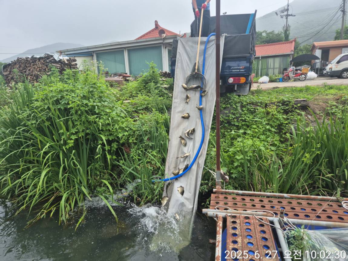 KakaoTalk_20250627_100653591_17.jpg