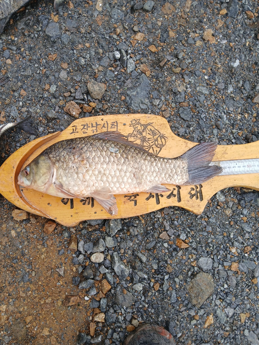 KakaoTalk_20250627_072637826_03.jpg
