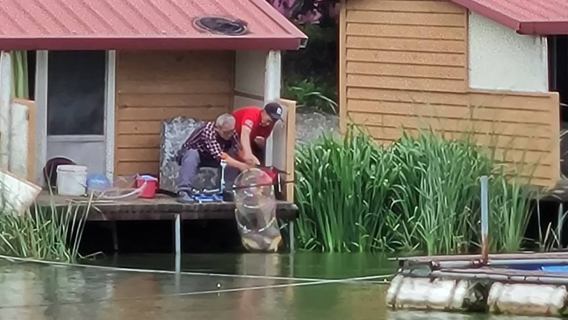 20250621_092807.jpg