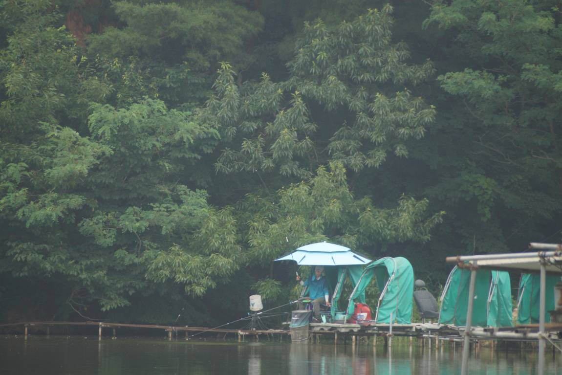 DSC01520.JPG