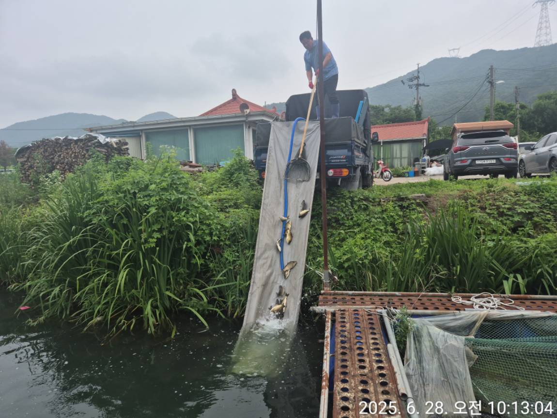 KakaoTalk_20250628_162827435_18.jpg