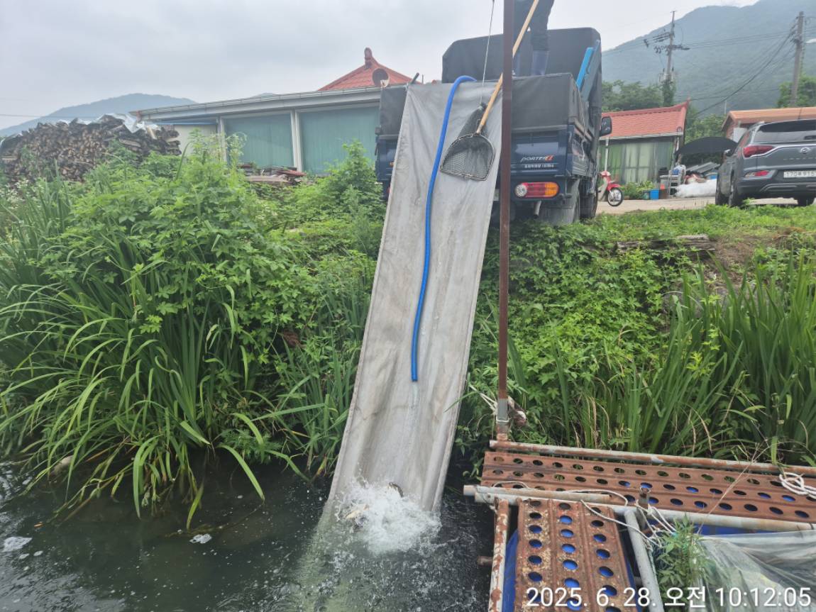 KakaoTalk_20250628_162827435_25.jpg