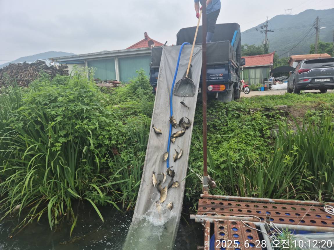 KakaoTalk_20250628_162827435_23.jpg