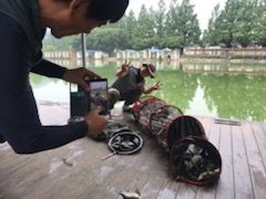 IMG_2466.jpg
