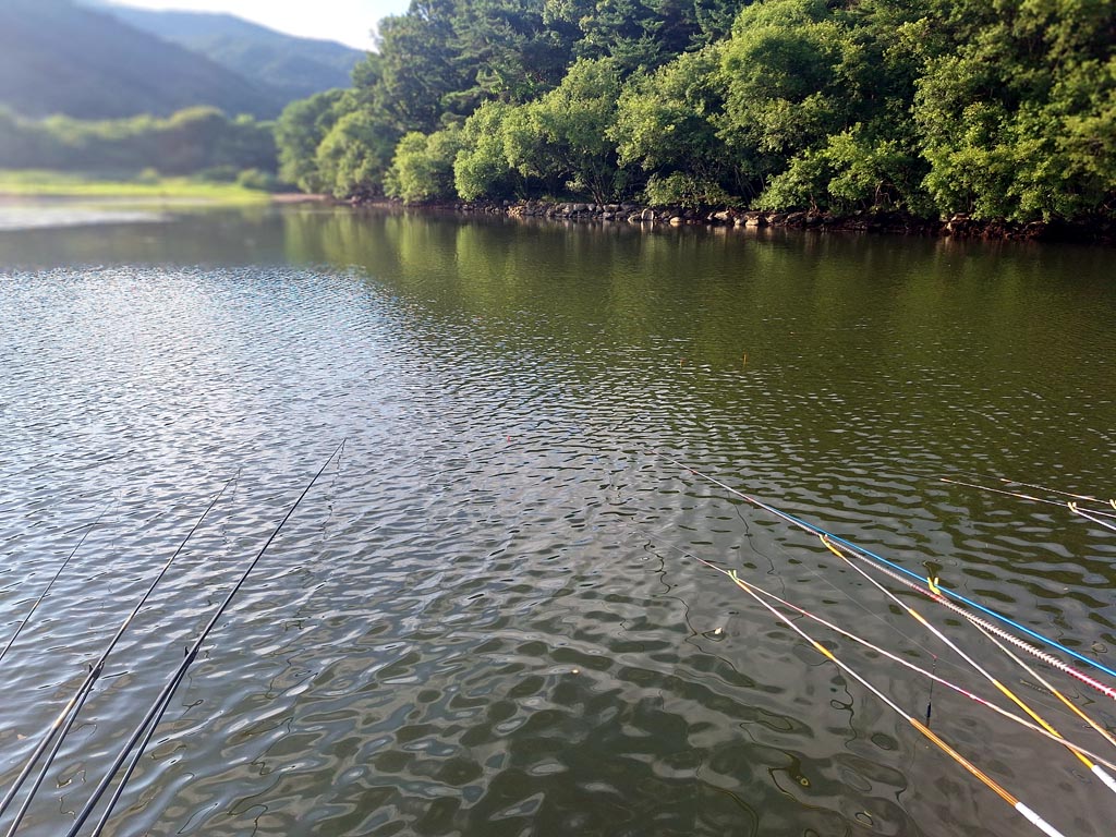KakaoTalk_20250629_084815005_12.jpg