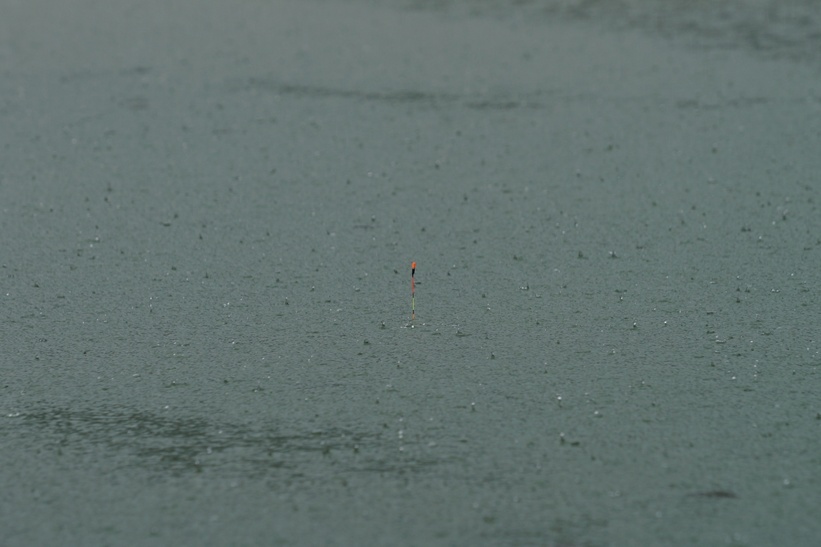 DSC08961.JPG