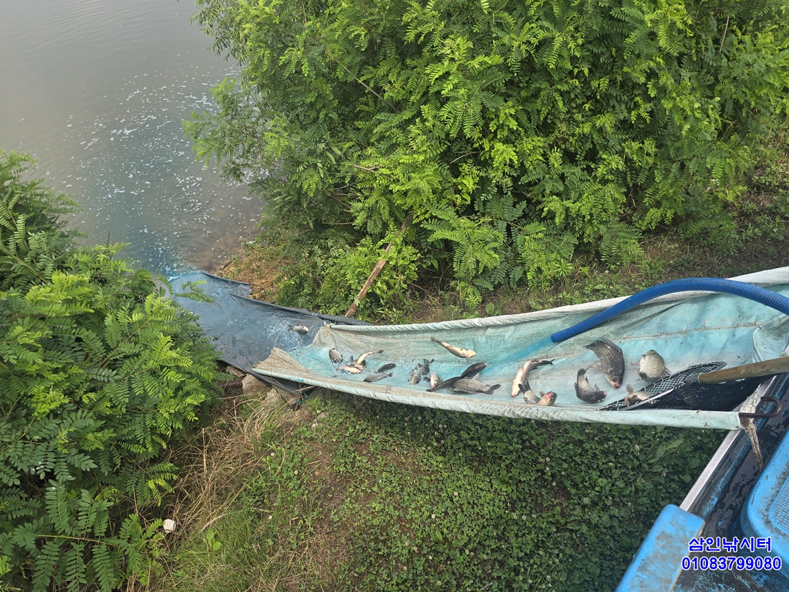 1751242075721.jpg