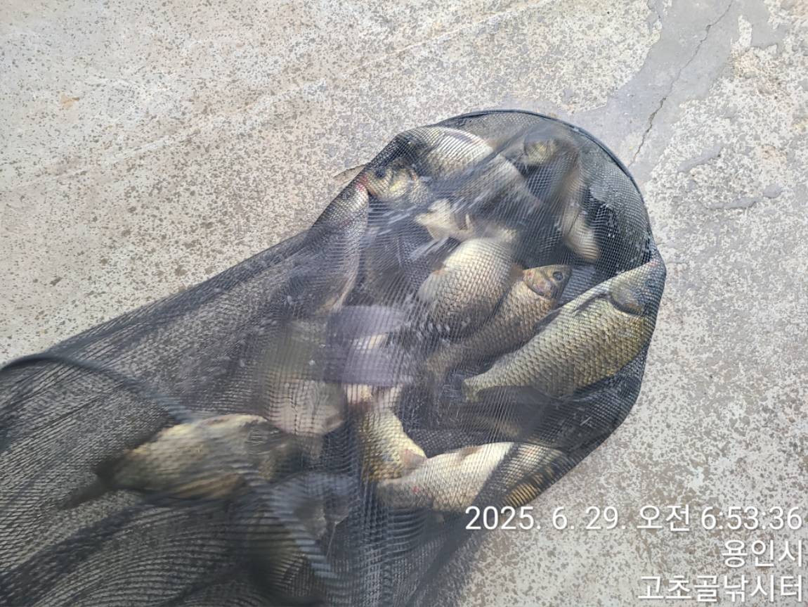 1751240666096.jpg