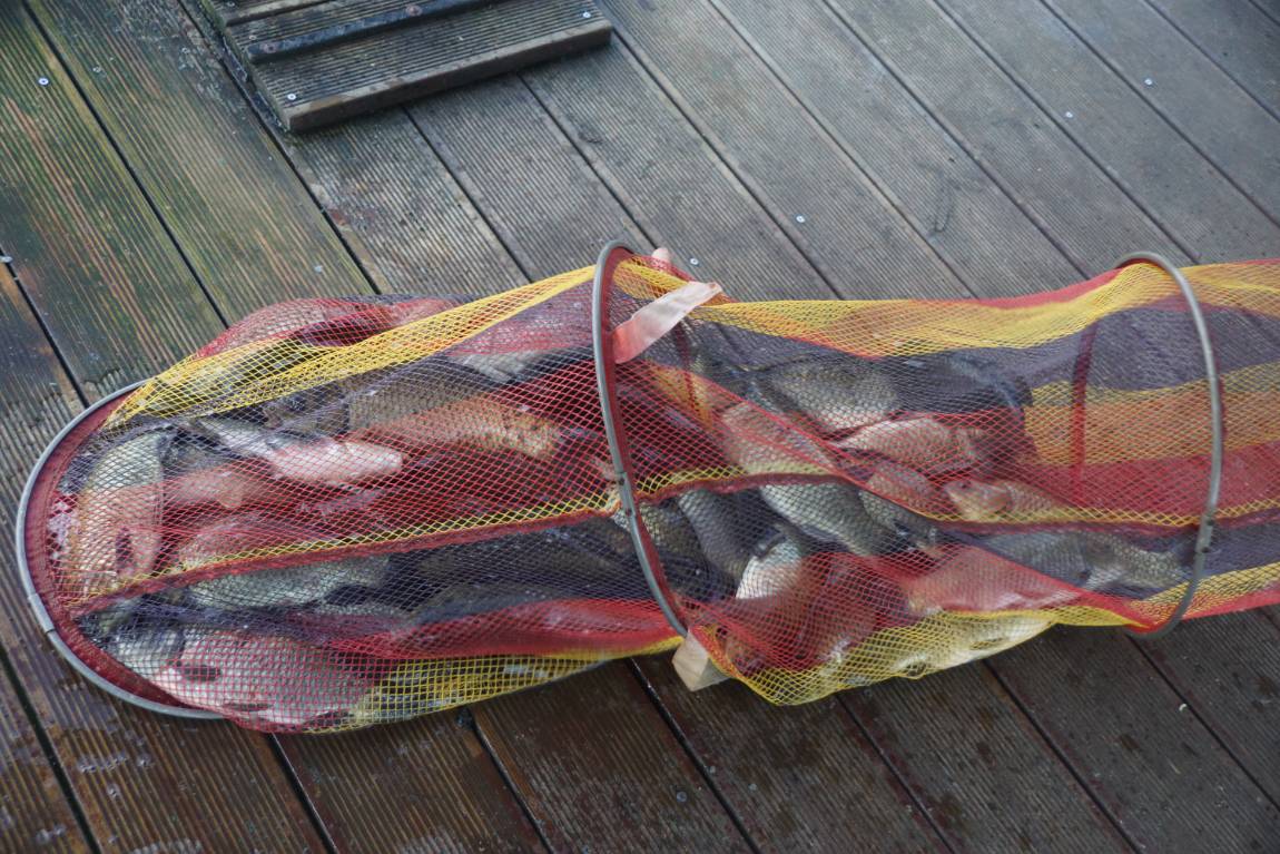 DSC01642.JPG
