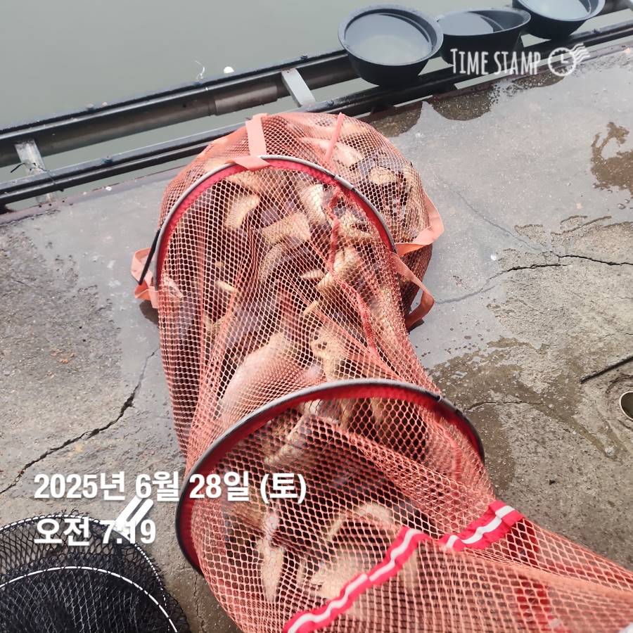 1751172931272.jpg