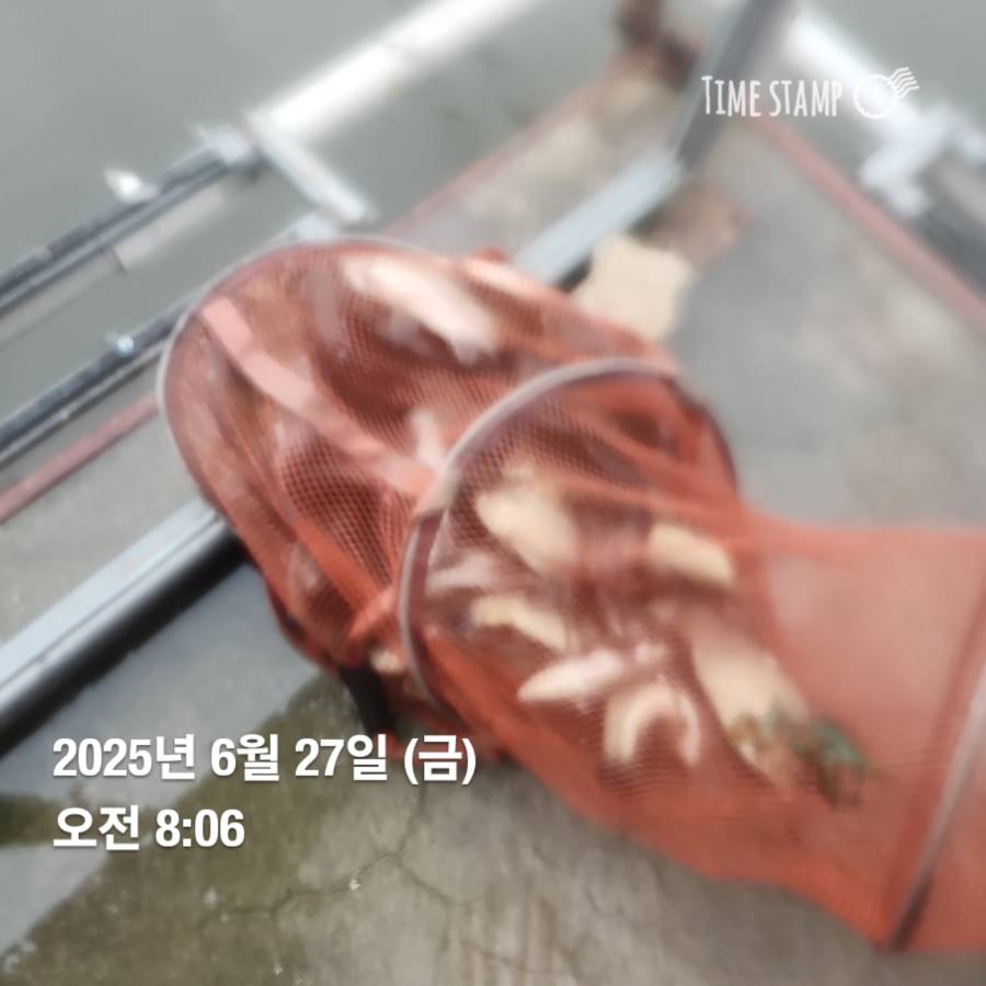 1750987253387.jpg