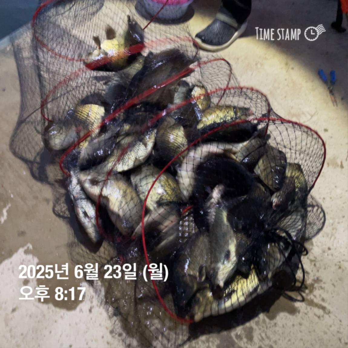 KakaoTalk_20250629_181759207_04.jpg