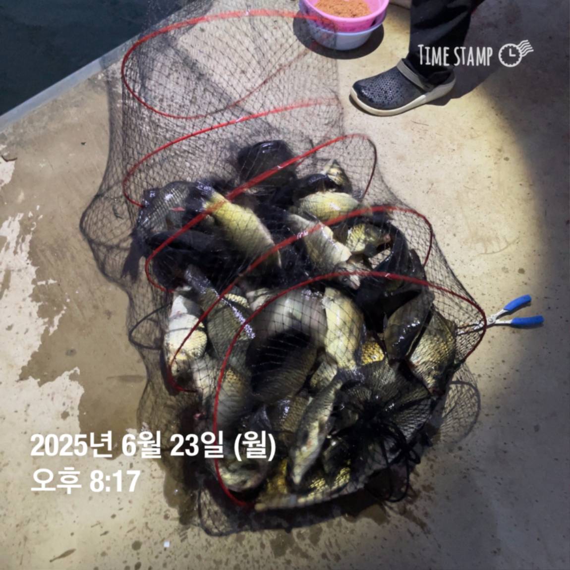 KakaoTalk_20250629_181759207_03.jpg